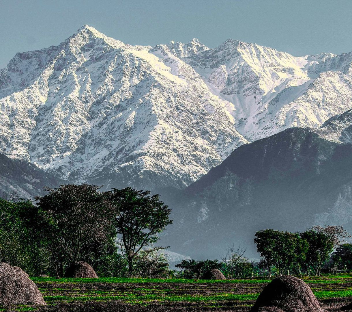 Dhauladhar backdrop