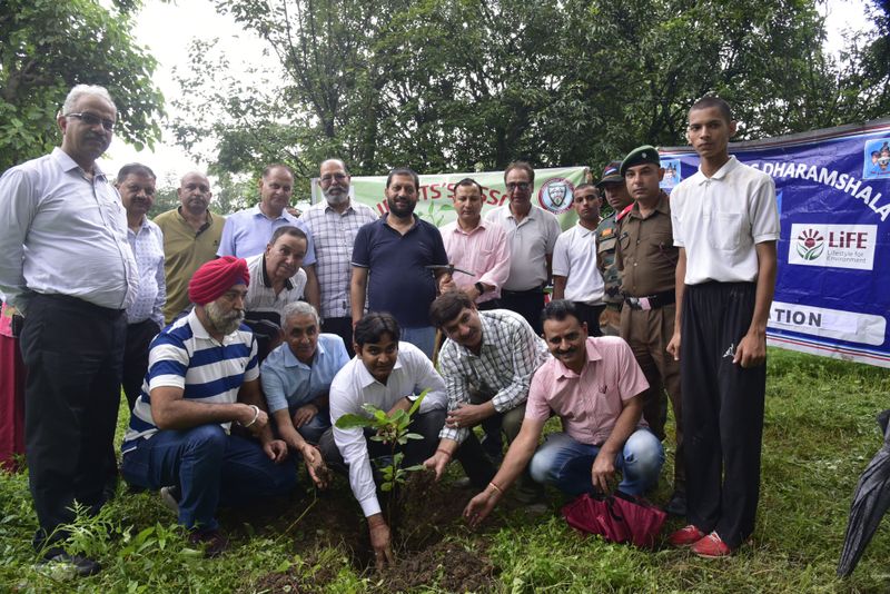 Tree Plantation Drive