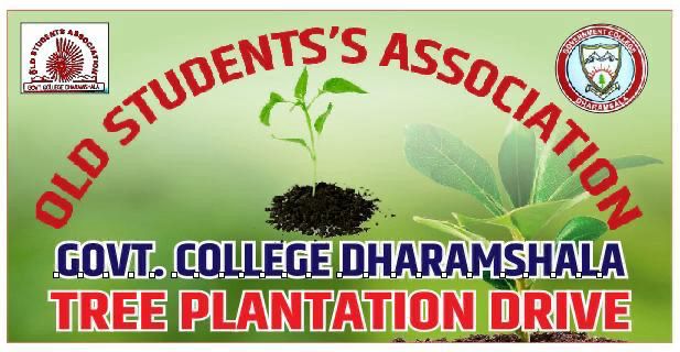 Tree Plantation Drive image 2
