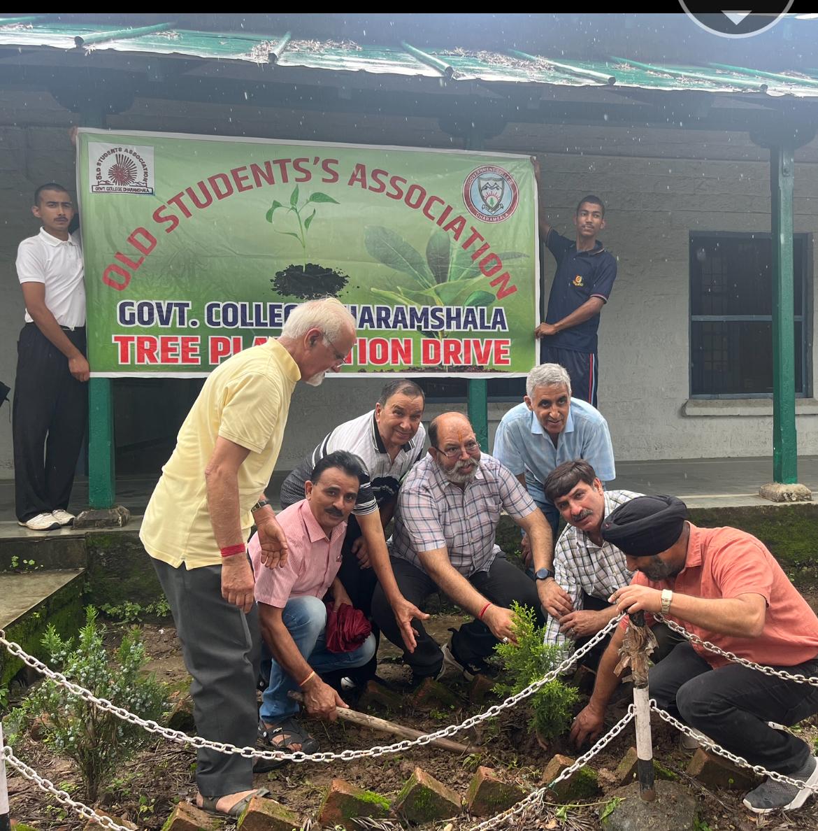Tree Plantation Drive image 4