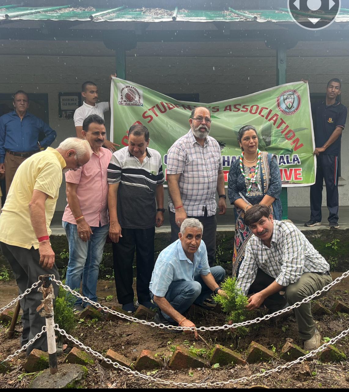 Tree Plantation Drive image 6