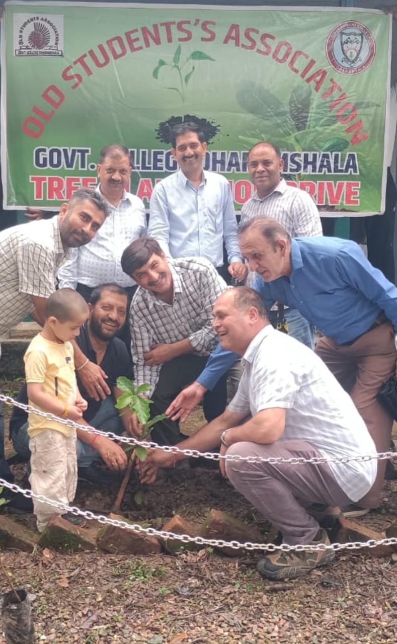 Tree Plantation Drive image 9