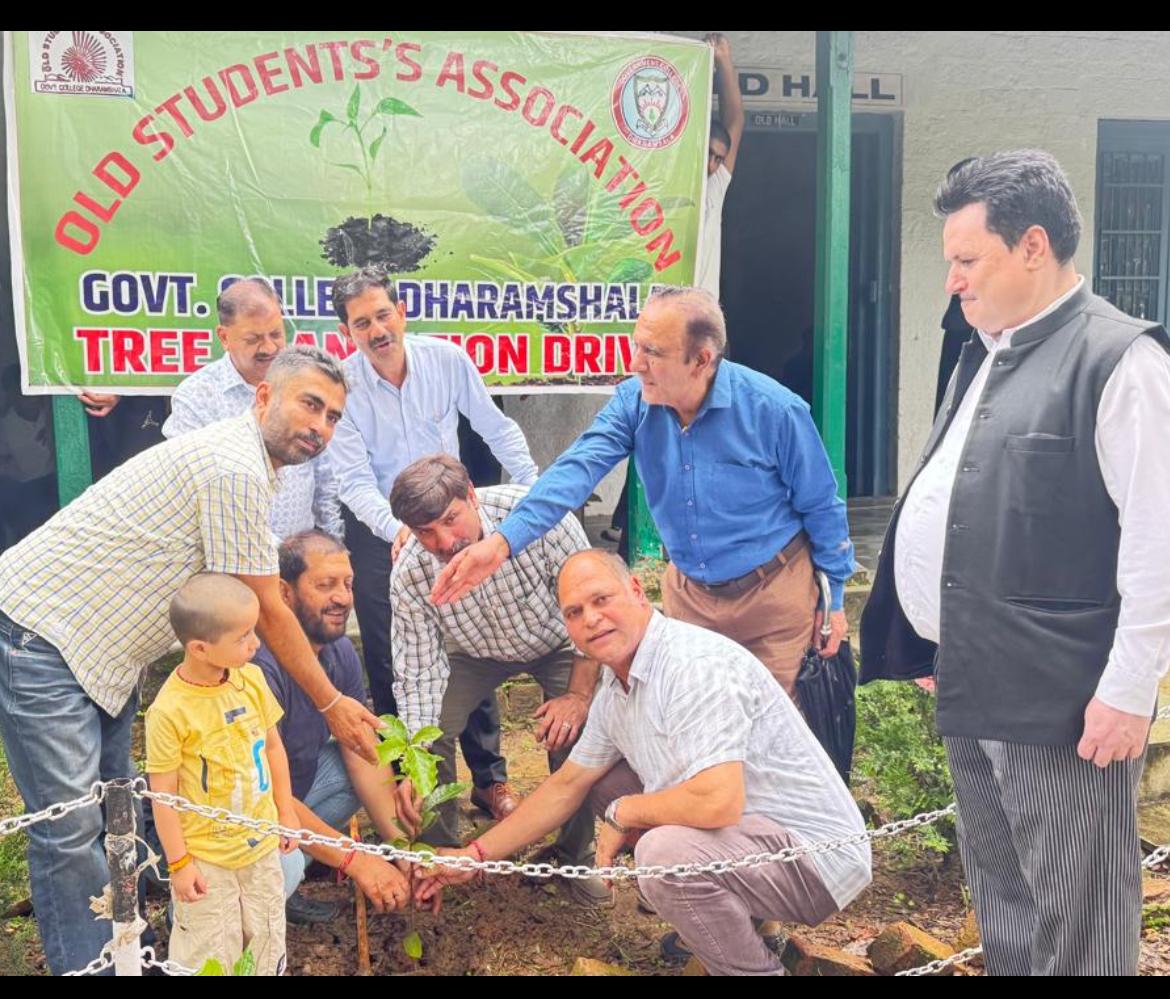 Tree Plantation Drive image 10