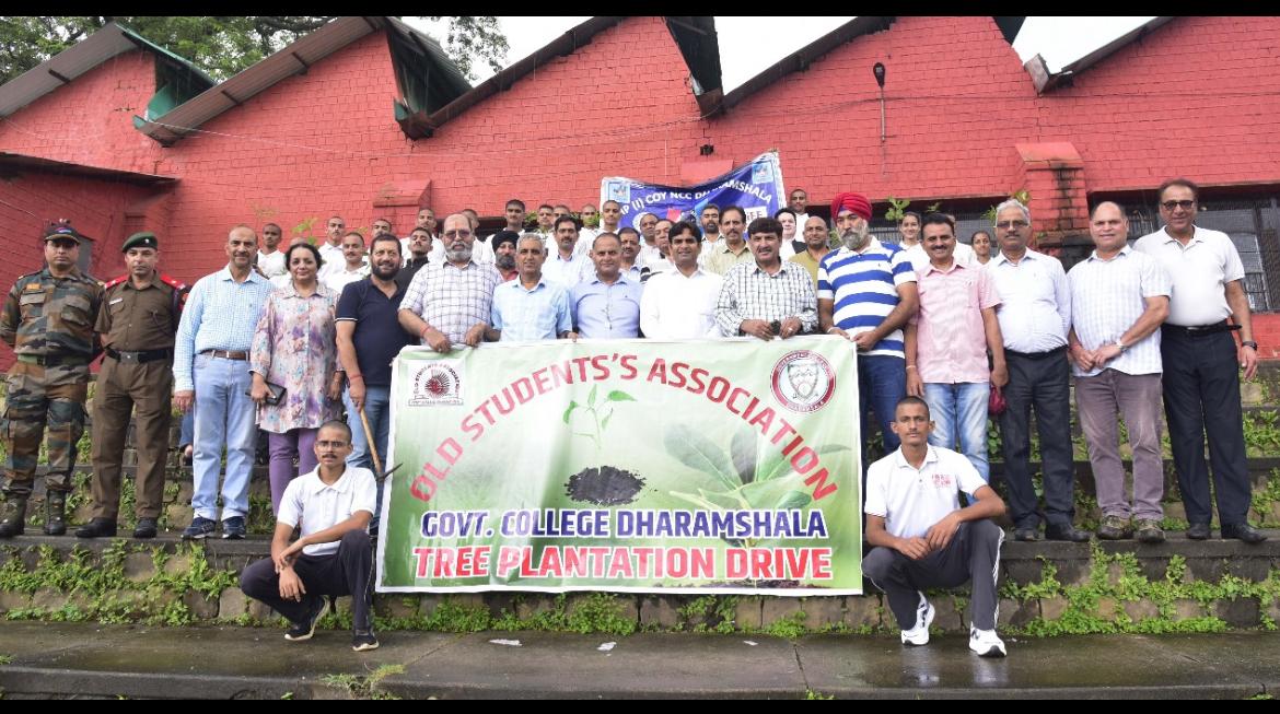 Tree Plantation Drive image 11