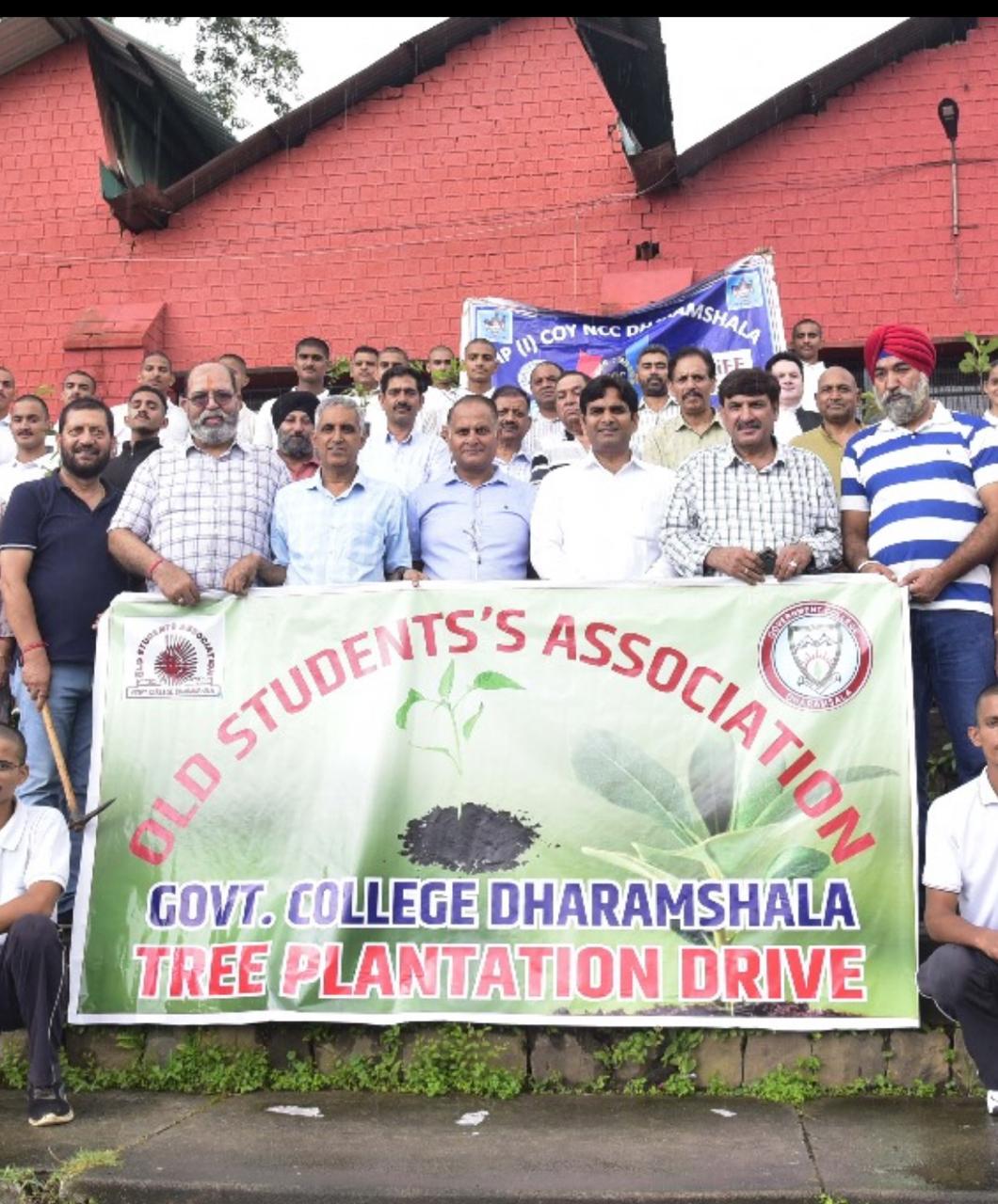Tree Plantation Drive image 12