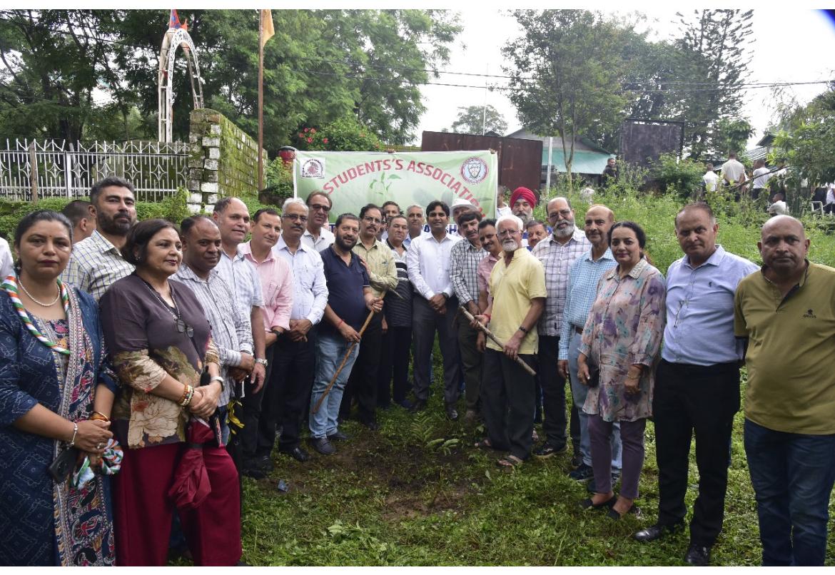 Tree Plantation Drive image 13