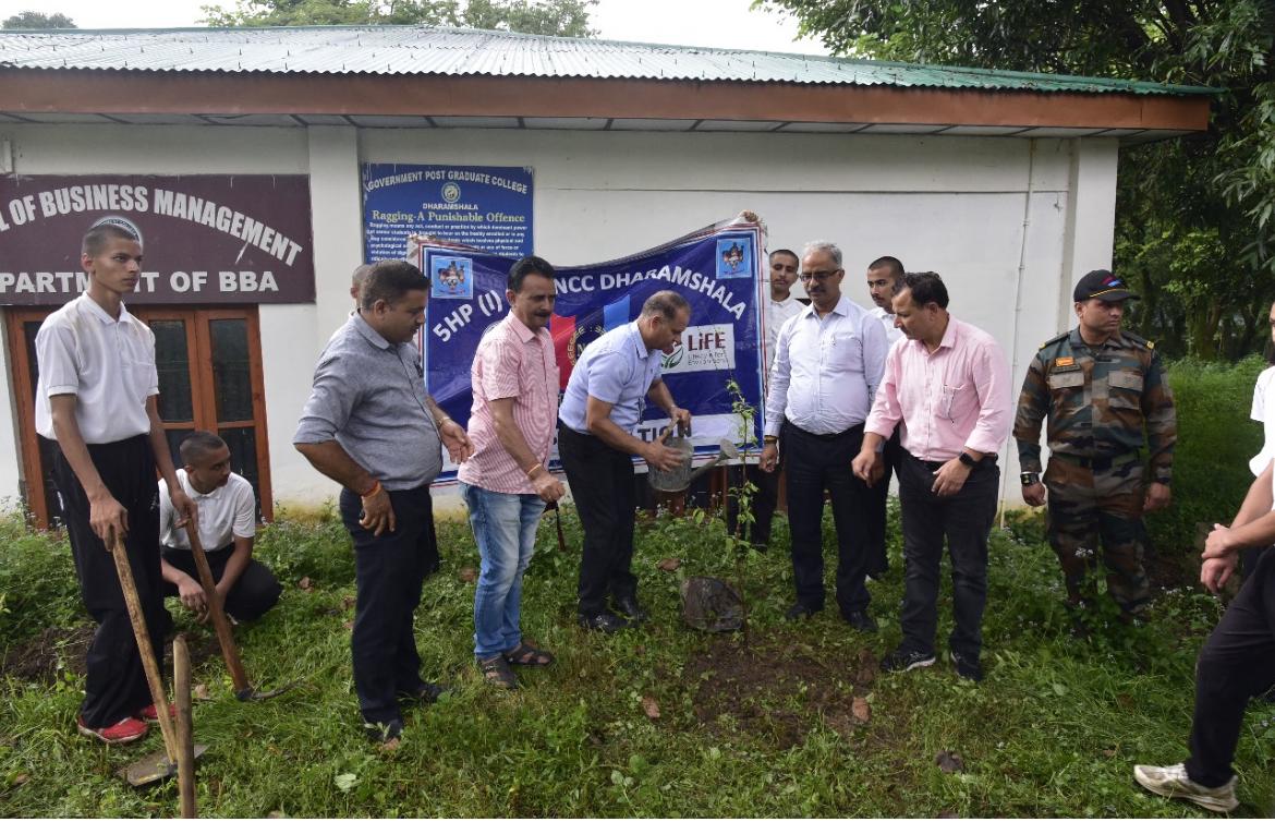 Tree Plantation Drive image 15