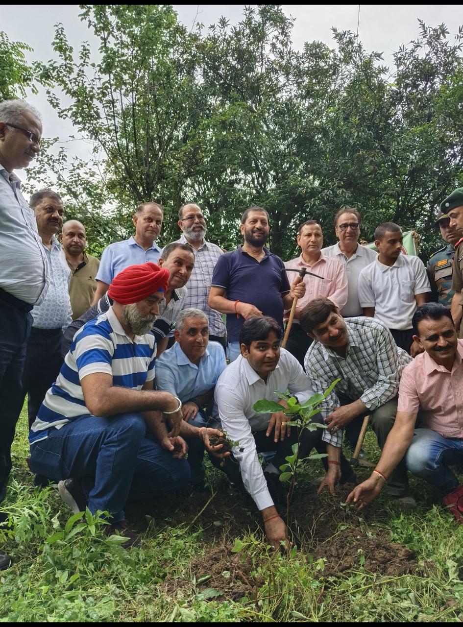 Tree Plantation Drive image 17