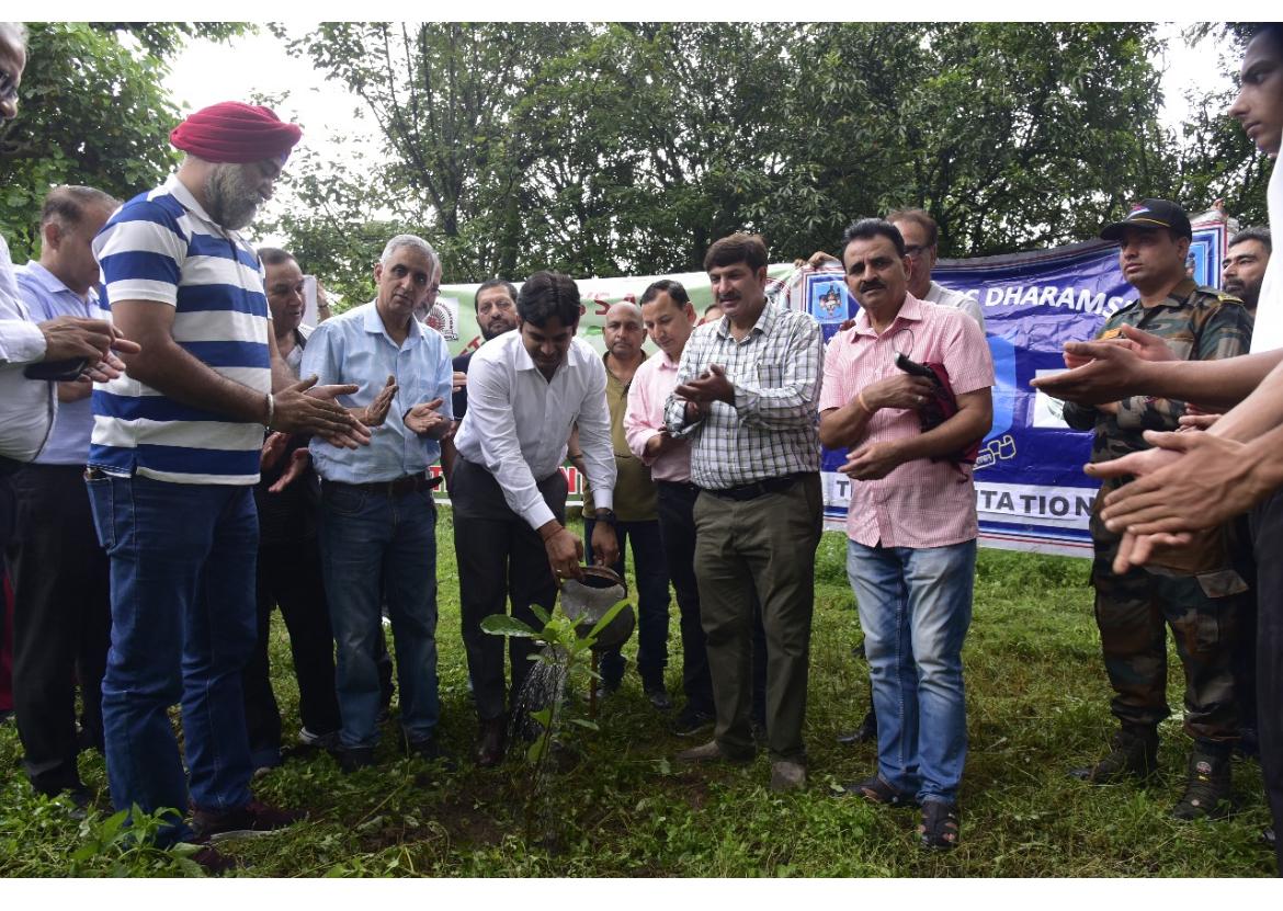 Tree Plantation Drive image 18
