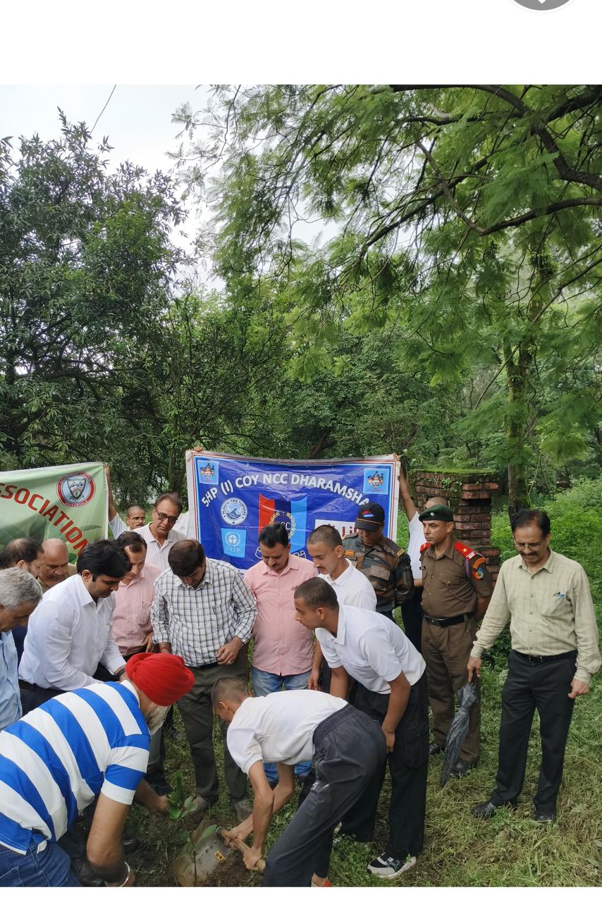 Tree Plantation Drive image 19