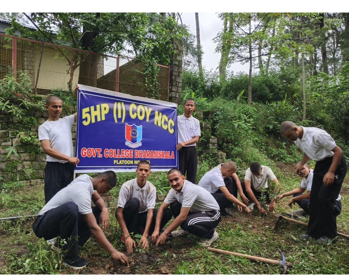 Tree Plantation Drive image 20