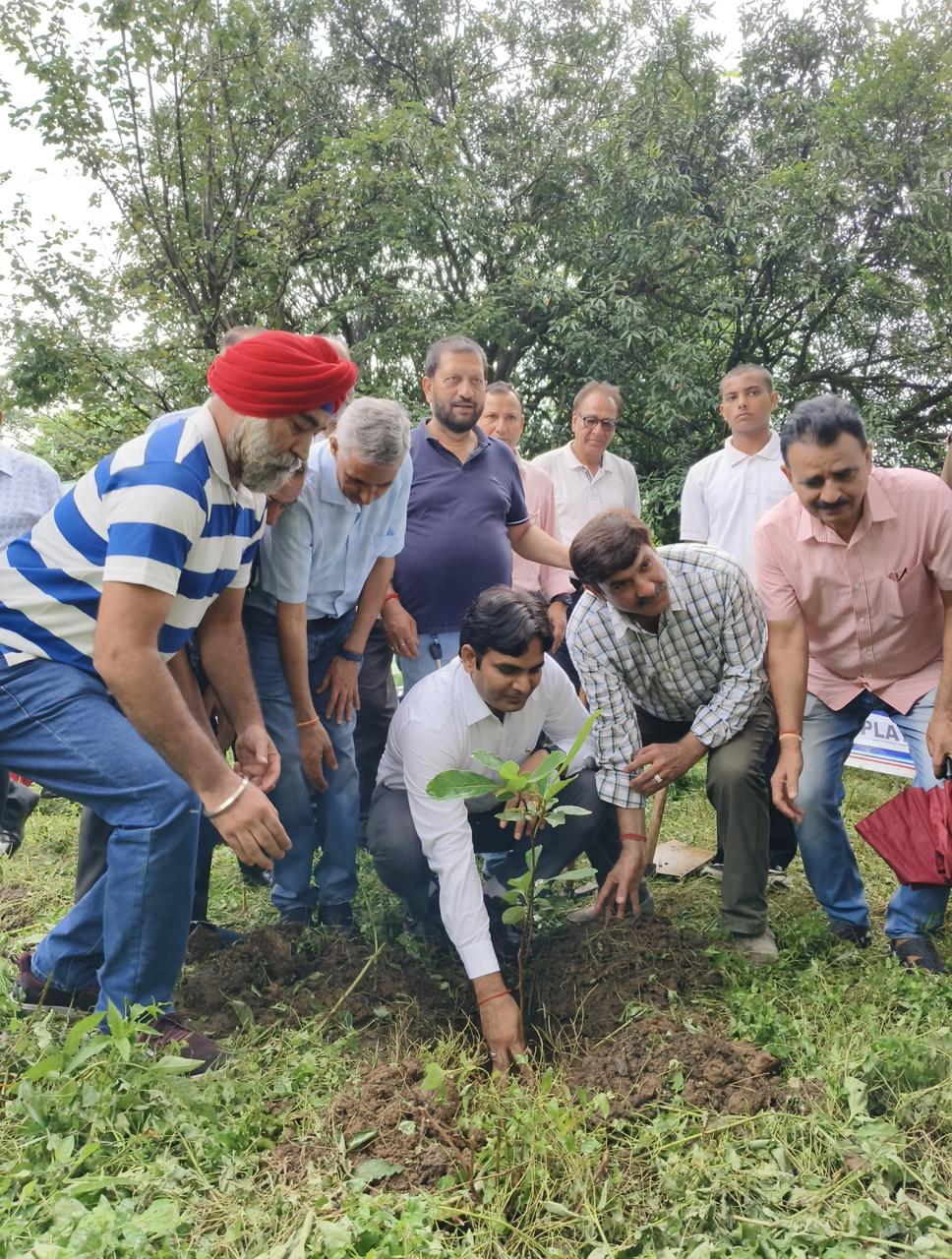 Tree Plantation Drive image 21