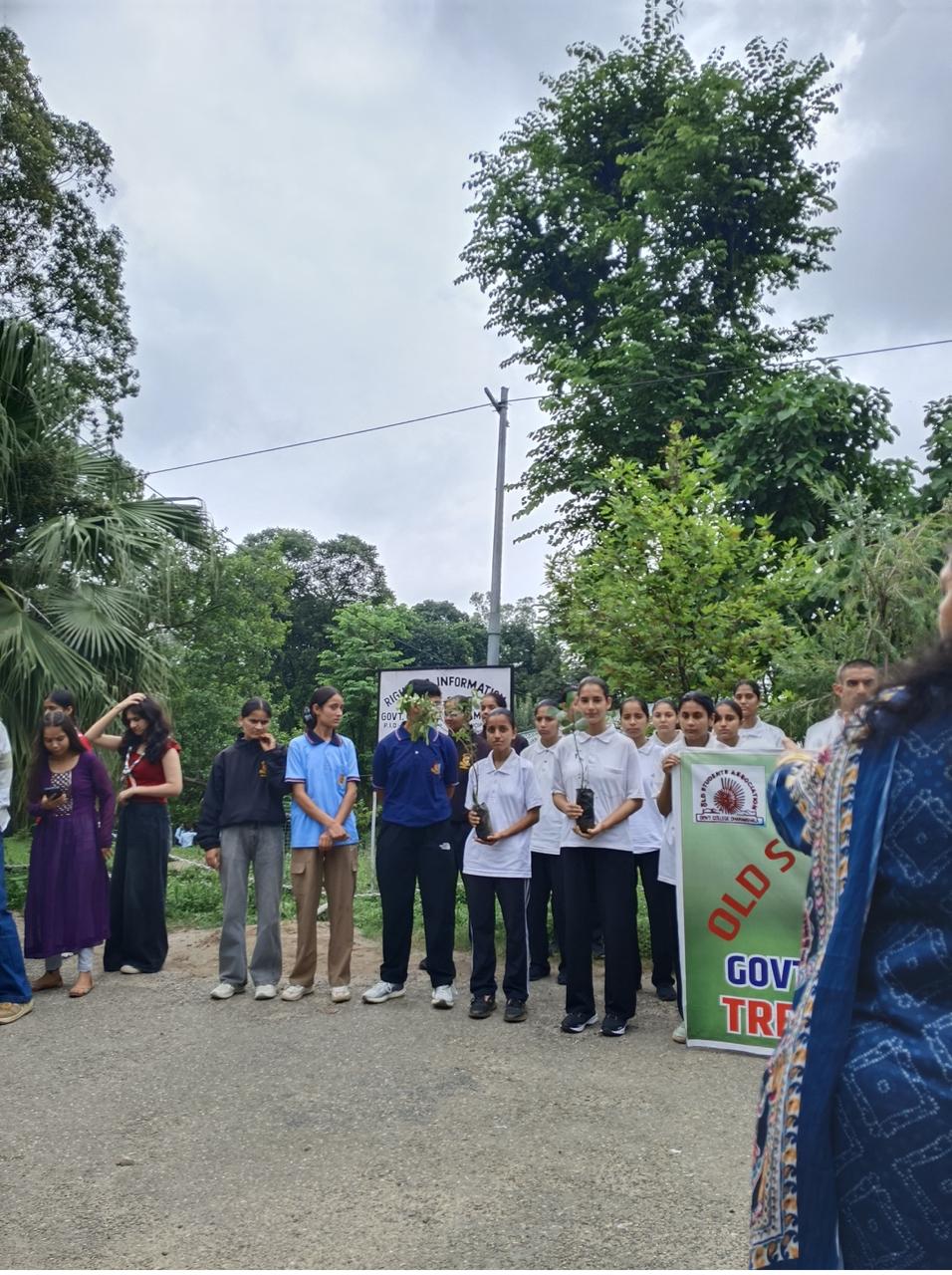 Tree Plantation Drive image 24