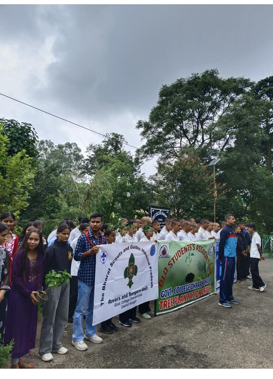 Tree Plantation Drive image 25