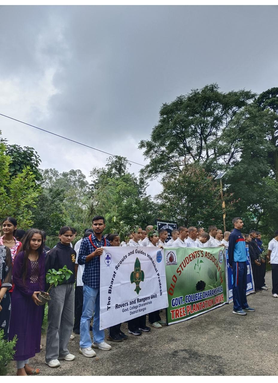 Tree Plantation Drive image 26