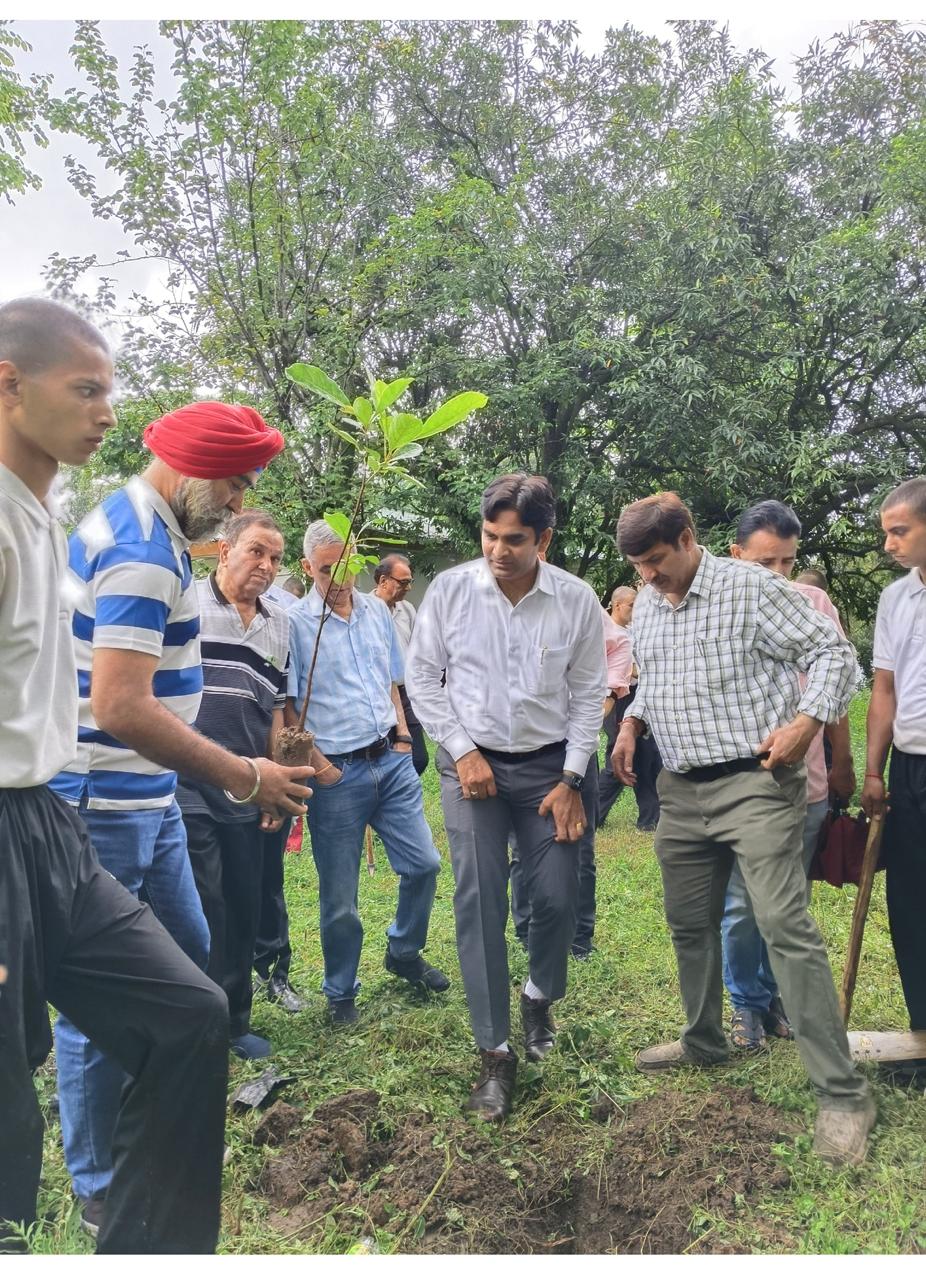 Tree Plantation Drive image 27
