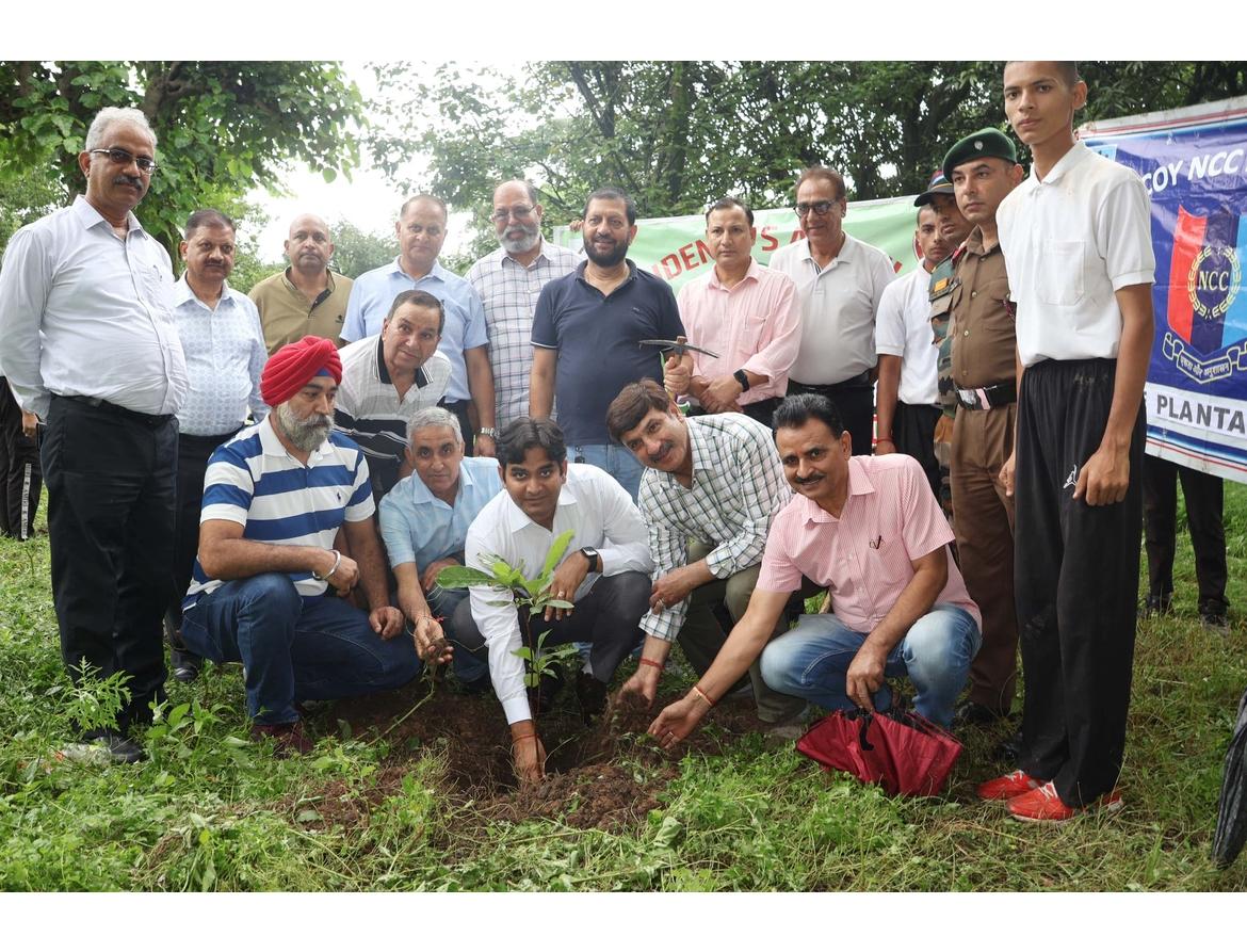 Tree Plantation Drive image 35