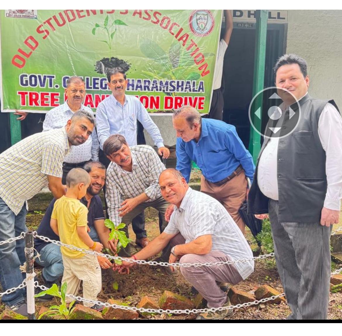 Tree Plantation Drive image 38